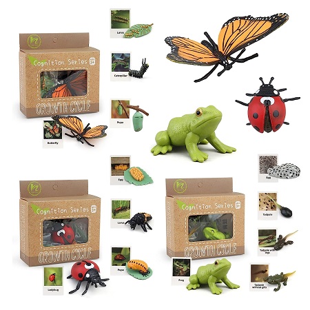 Montessori Life Cycle Learning & Education Toys Plastic Insect Ladybug Monarch Butterfly Tadpole to Frog Kit