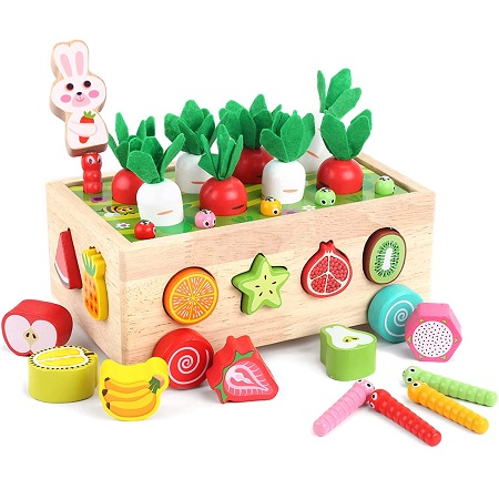 Montessori Wooden Shape Sorting Toys