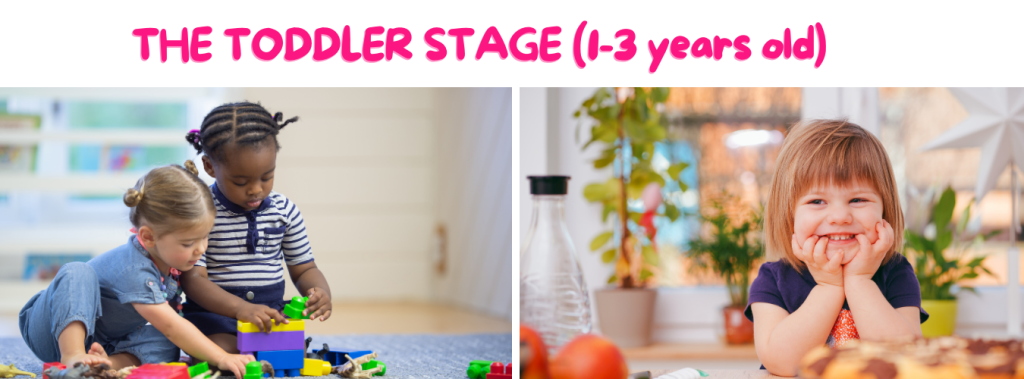toddler stage 1-3 years - child development stages