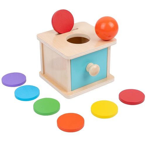 Adena Montessori Baby Toys Coin Box with Ball Blue Door Great Gift for 6-12 Months 1 2 Years Old Toddlers