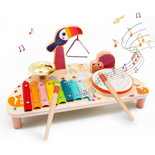 WarmSun Toddlers Toy Musical Instruments, Drums, Xylophone 5-in-1 Wooden Montessori Set for 3+ Year-Olds - Music Toy for Baby