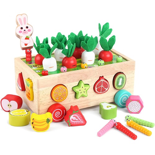 Toddlers Montessori Wooden Educational Toys for Baby Boys Girls Age 2 3 4 Year Old, Shape Sorting Toys Gifts for Kids 2-4