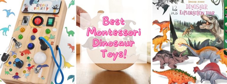 15 Best Montessori Dinosaur Toys 2023