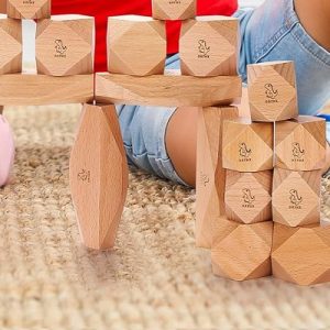 Montessori Wooden Blocks